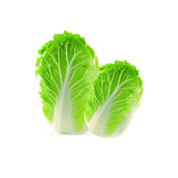 大白菜